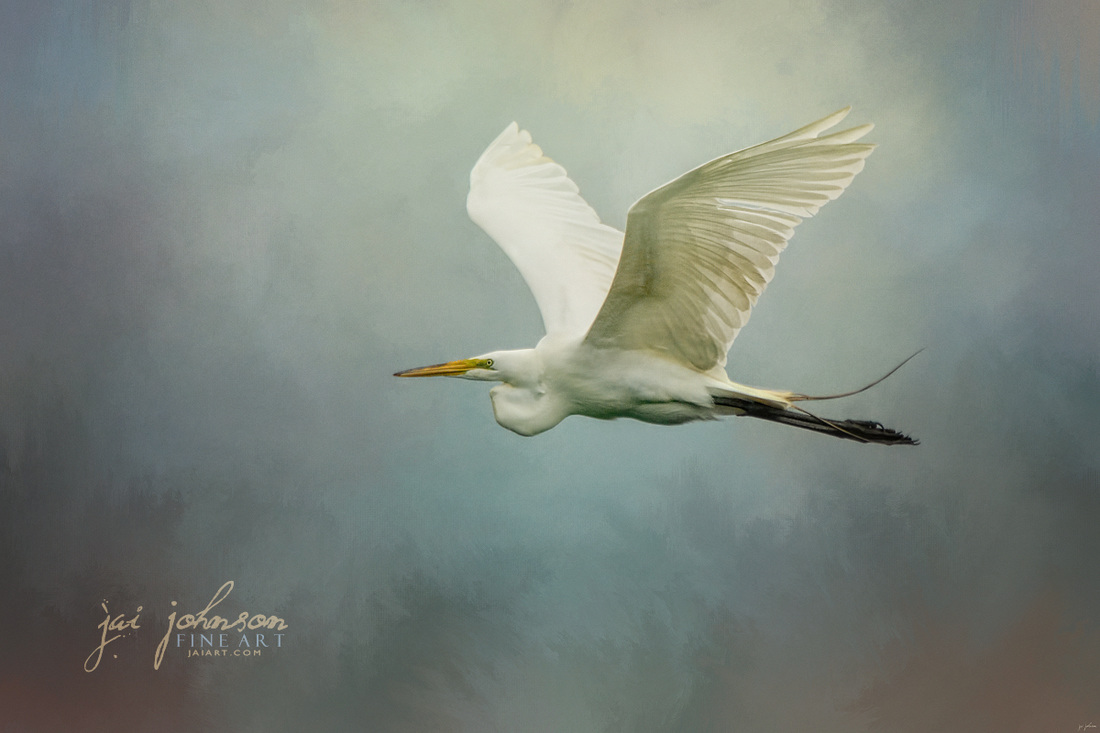 Sea Flight White Egret Ocean Art
