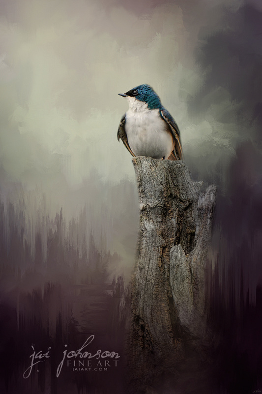 Resting Tree Swallow Bird Art