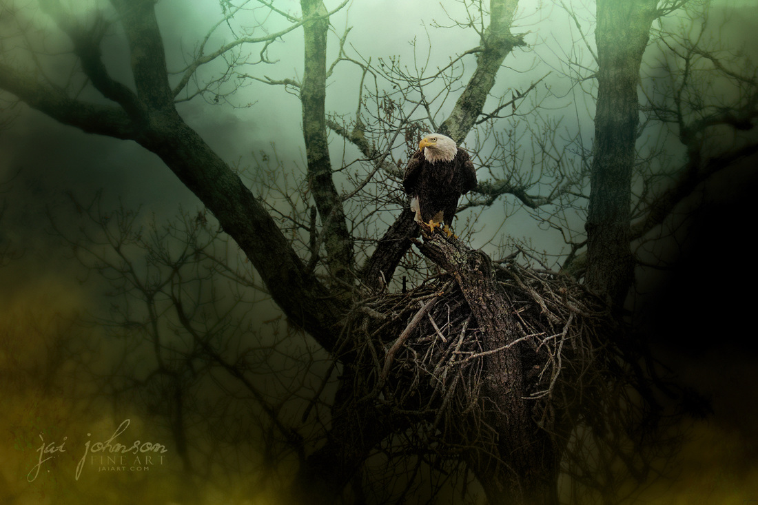 Storm At The Old Nest - Eagle Art
