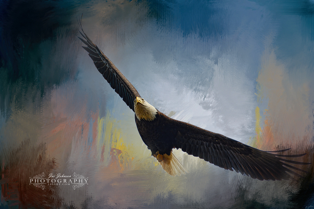 Ascending - Bald Eagle Art