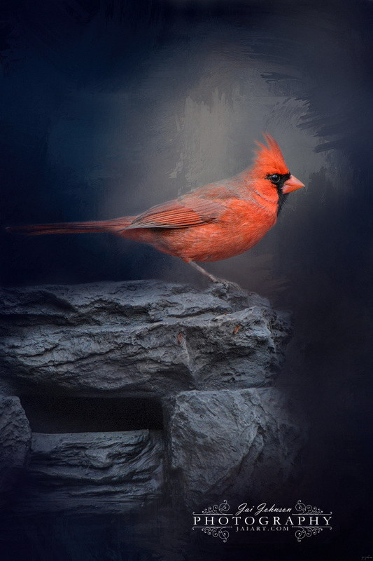 Redbird On The Rocks - Cardinal Songbird Art