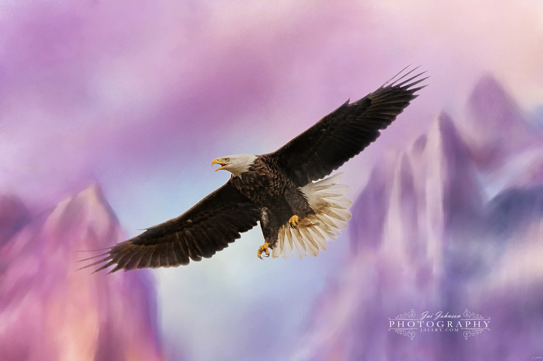 Over The Purple Mountains - Bald Eagle art
