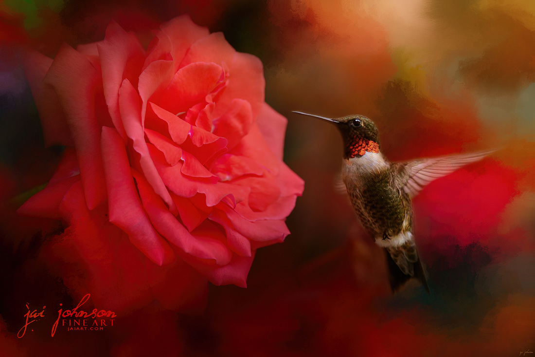 After The Big Rose - Hummingbird Art