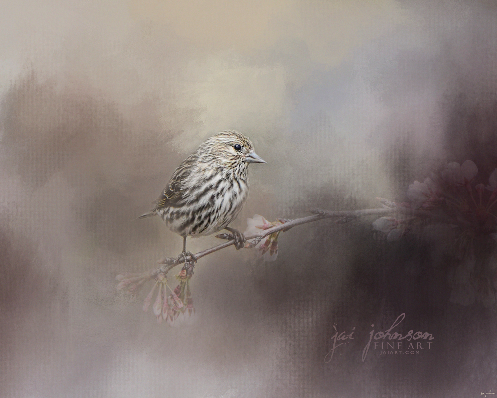 Just A Whisper Of Feathers - Bird Art