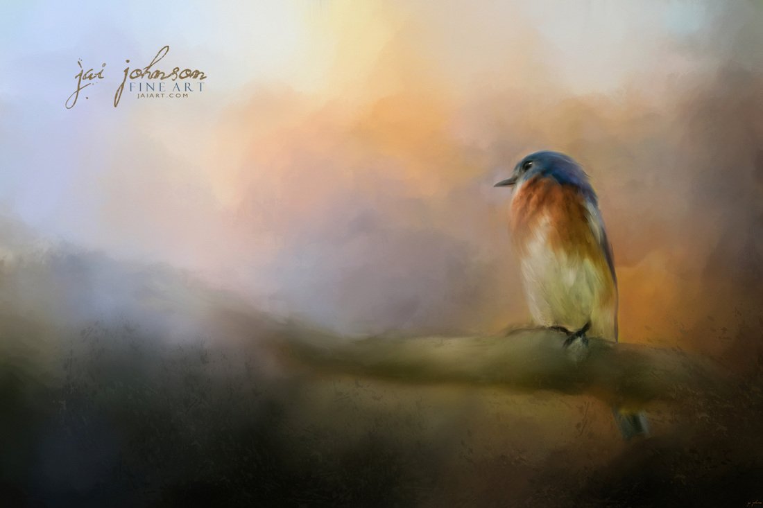 Bluebird In The Perfect Light - songbird art