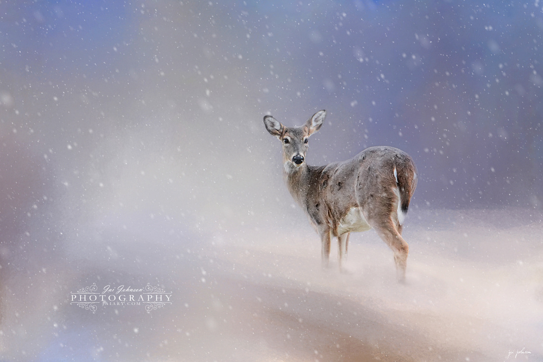 Doe In The Snow Deer Art