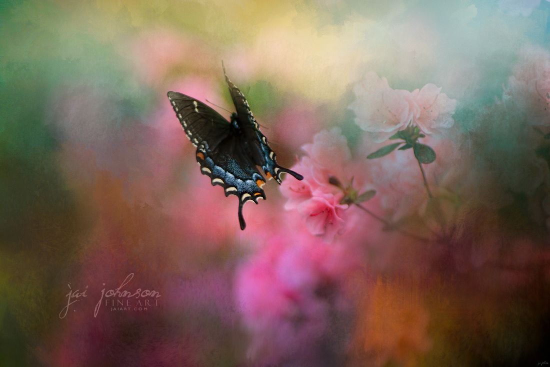 Garden Friend 1 - Butterfly Art
