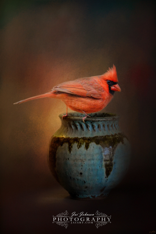 Little Red Guardian - Bird Art