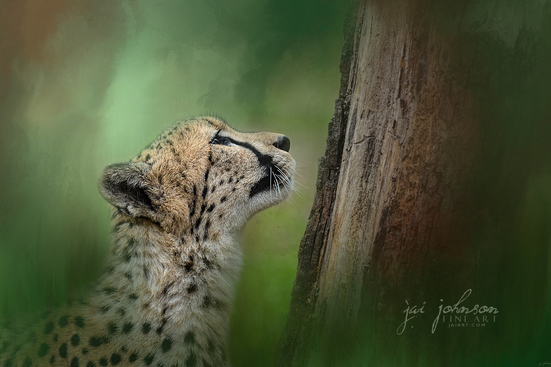 Facing Challenges - Cheetah Art