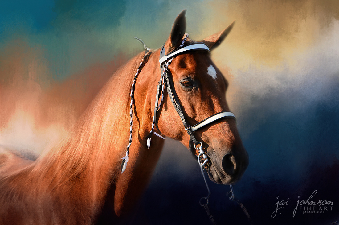 Bathed In The Evening Light - Tennessee Walking Horse Art by Jai Johnson