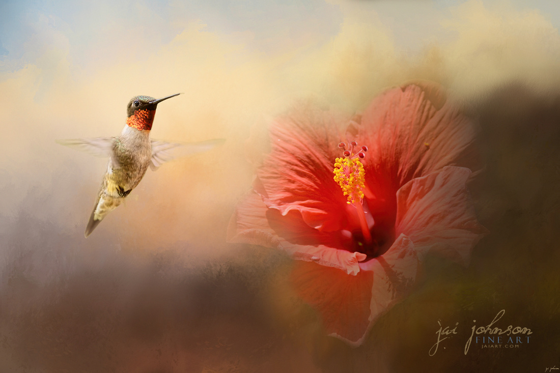 Romancing The Hibiscus Hummingbird art