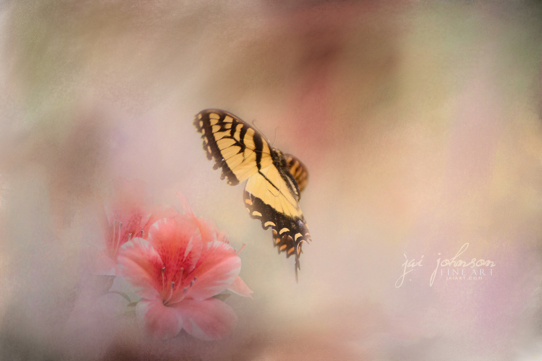 A Whisper of Yellow - Butterfly Art