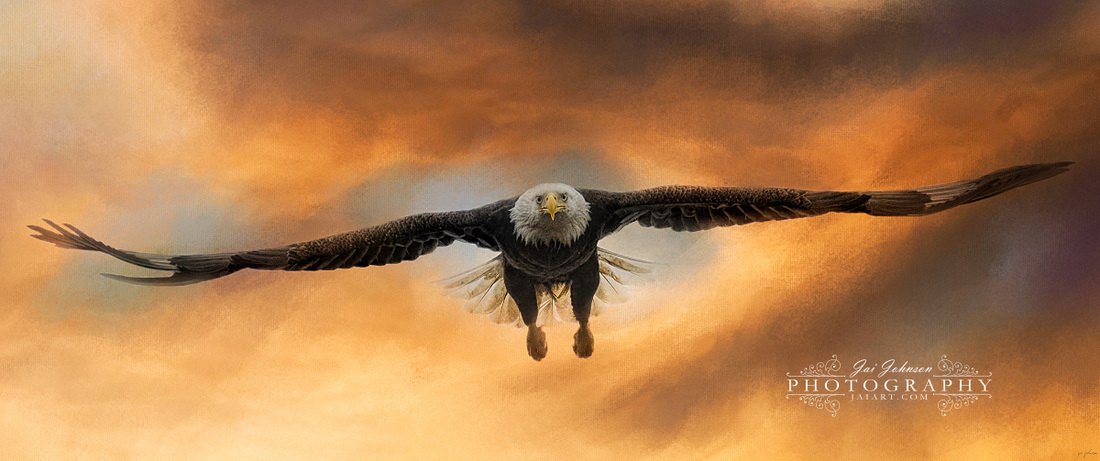 Breakthrough - Bald Eagle Art