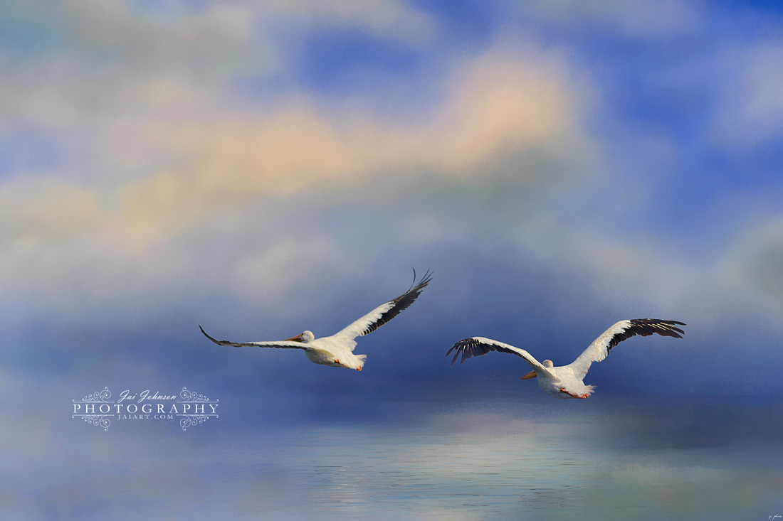 Pelicans At Sea Ocean Art