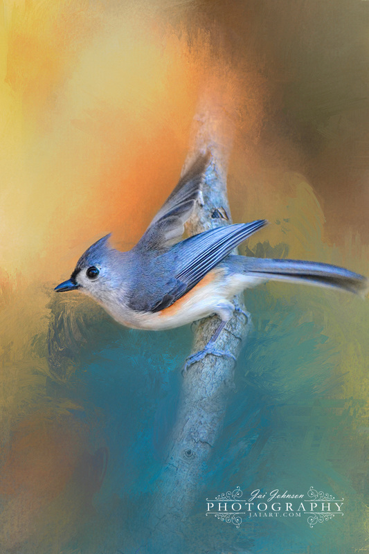 In A Flash - Songbird Art