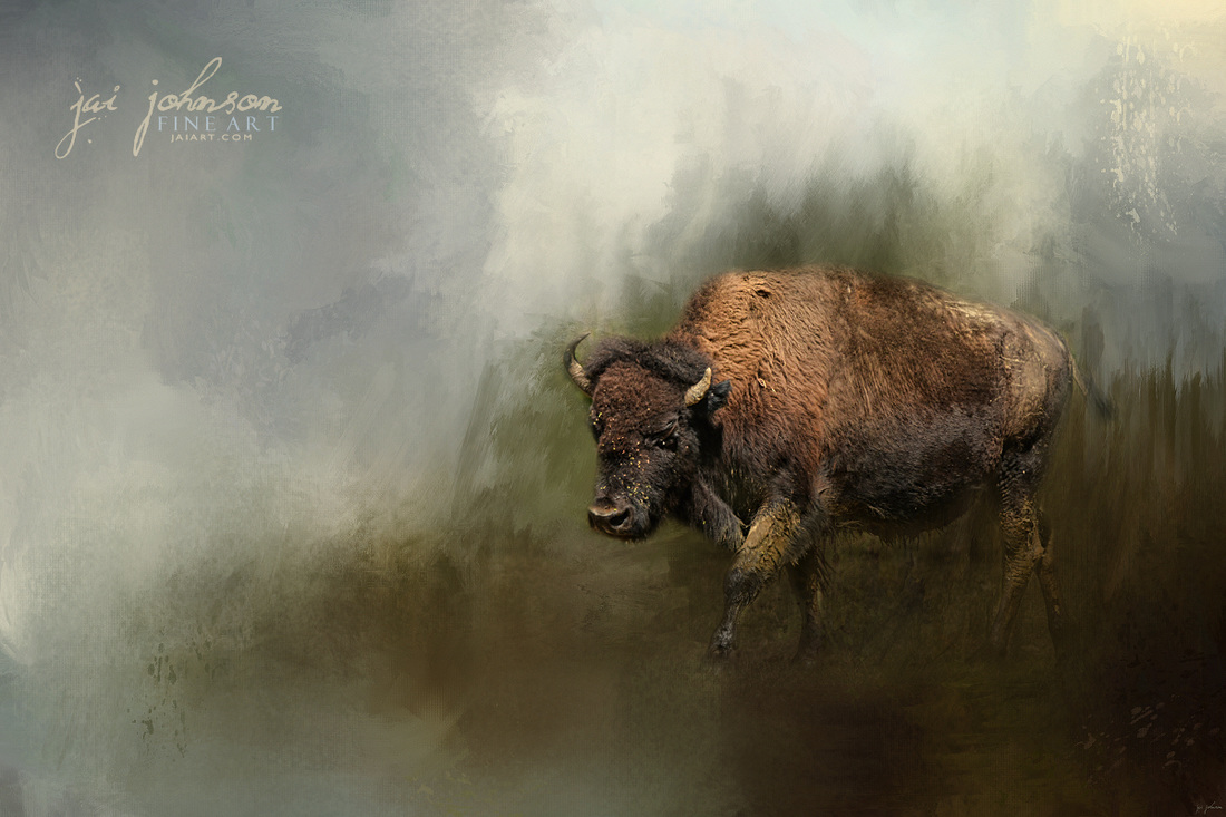 Bison After The Mud Bath Buffalo Art