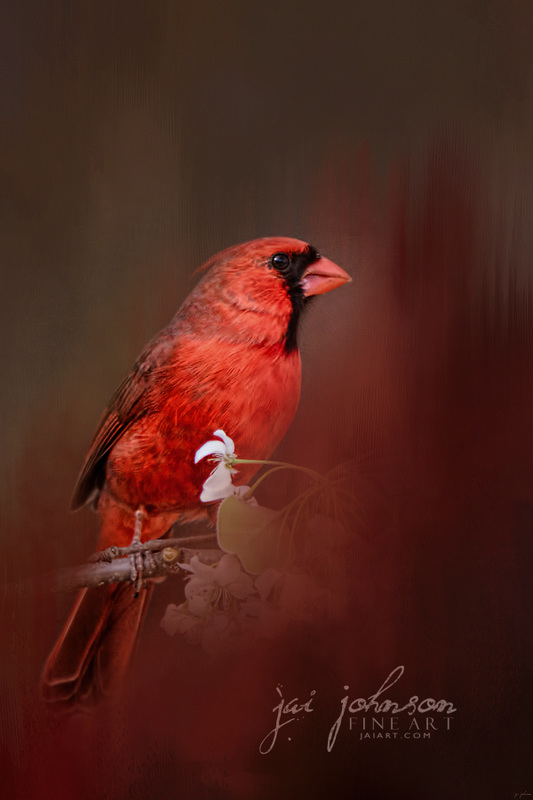 Cardinal In Antique Red Bird Art