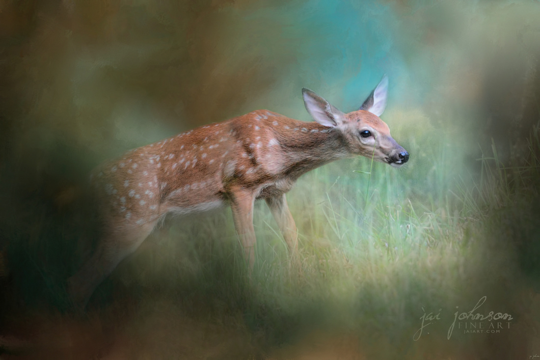Up The Hill and Into The Light - Baby Deer Art
