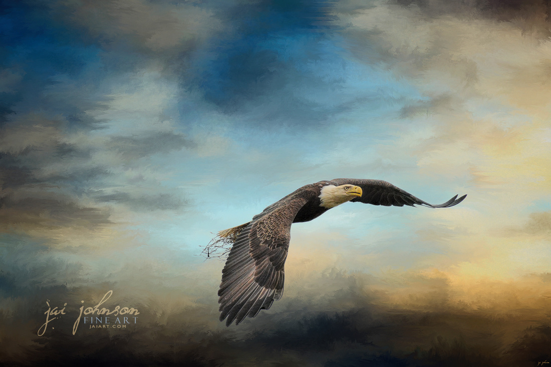 Grass Before The Storm - Bald Eagle Art
