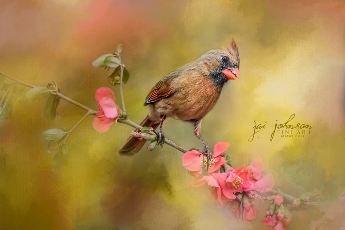 Spring Cardinal 1 Bird Art
