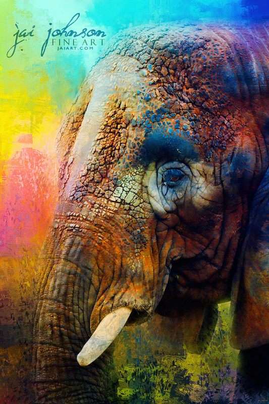 Colorful Expressions Elephant