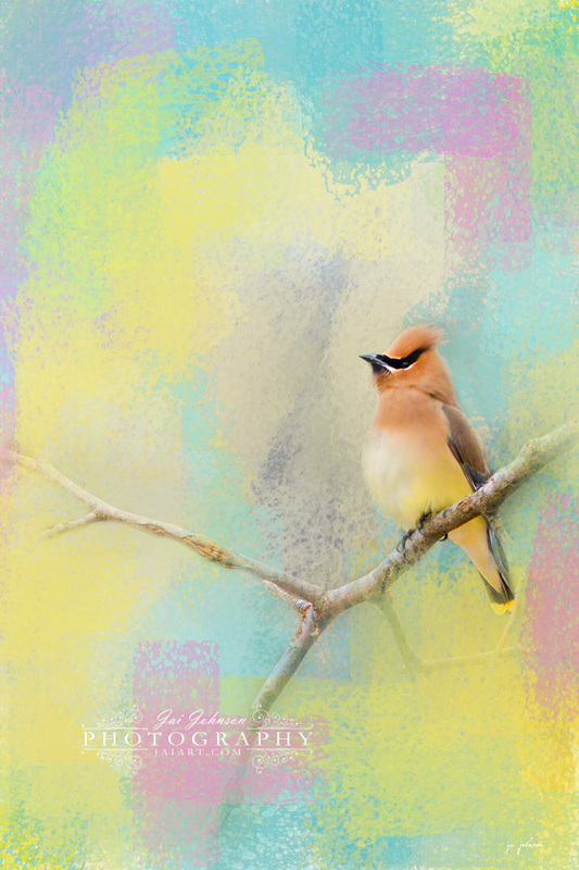 Song of the Waxwing