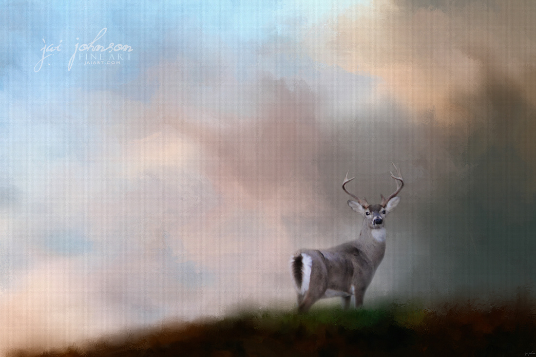Buck On The Hill - White Tailed Deer Art