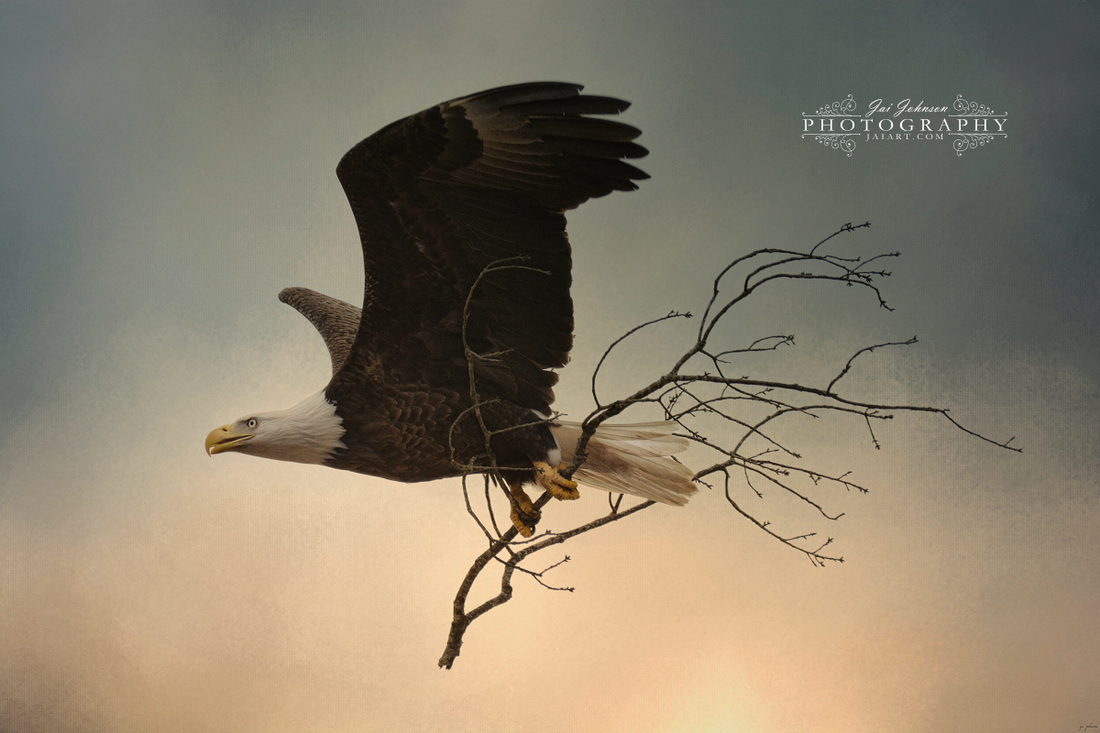 Stick Delivery - Eagle Art