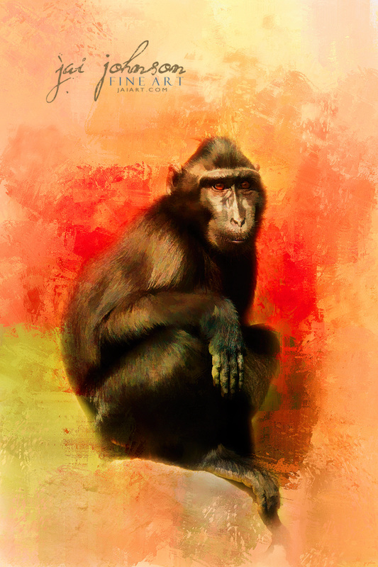 Colorful Expressions Black Monkey art