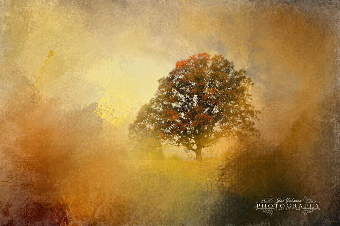 Splendor-A Painterly Autumn Scene