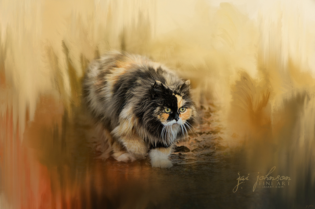 Stalking Autumn - Calico Cat Art