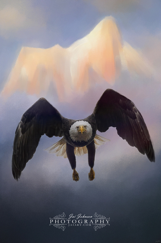 Mountain Flight Bald Eagle Art