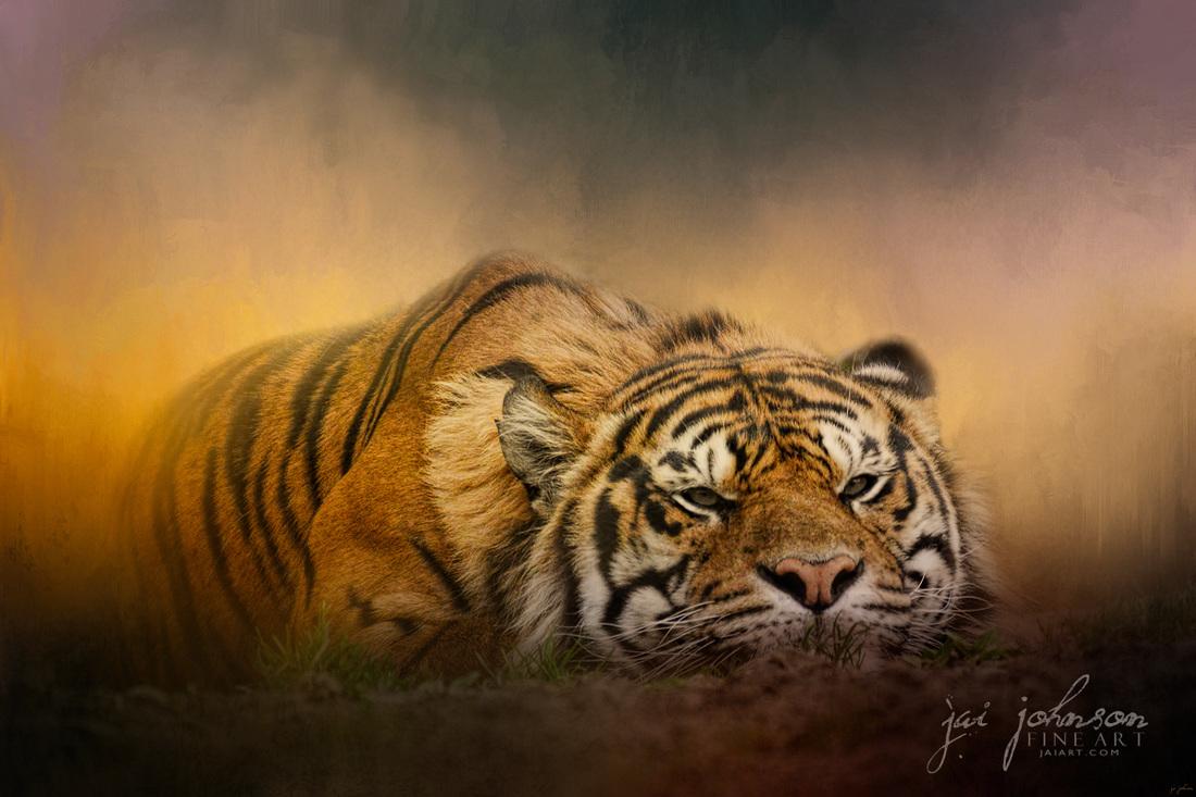 The Tiger Awakens - Wildcat Art