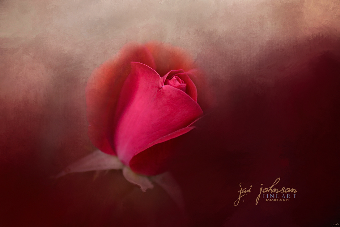 The First Red Rose - Flower Art
