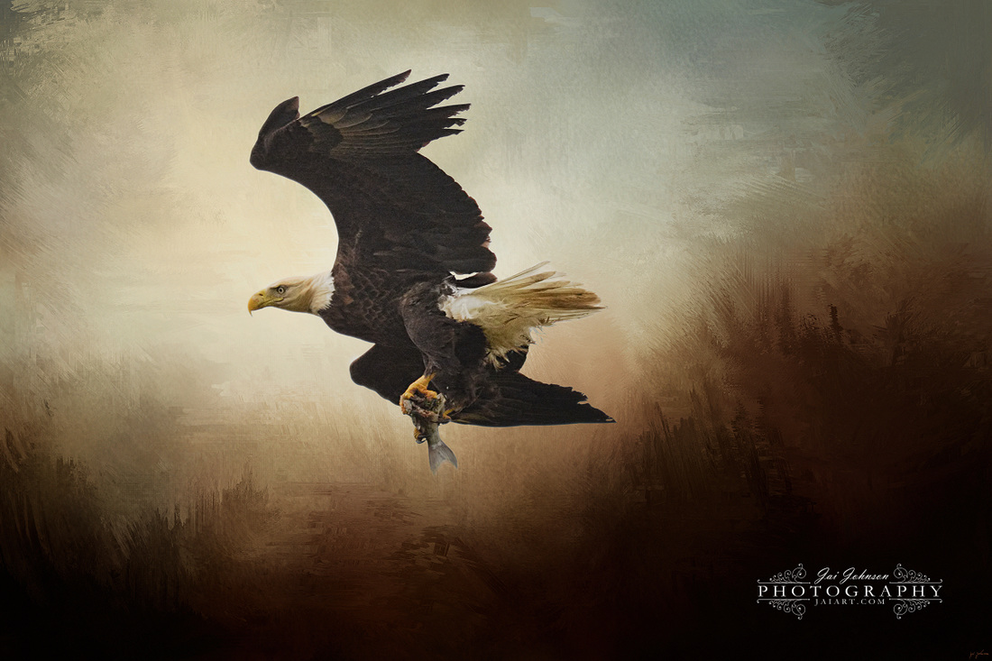 Fish Tail - Bald Eagle art