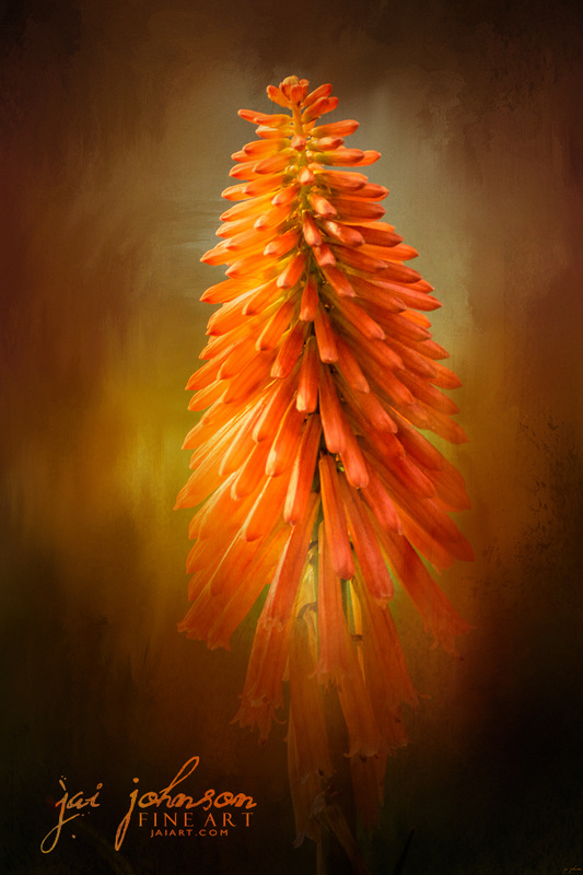 Orange Blast In The Garden Flower Art