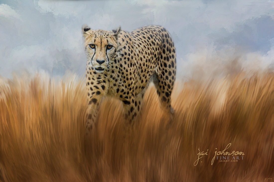 Cheetah In The Field - Wild Cat Art