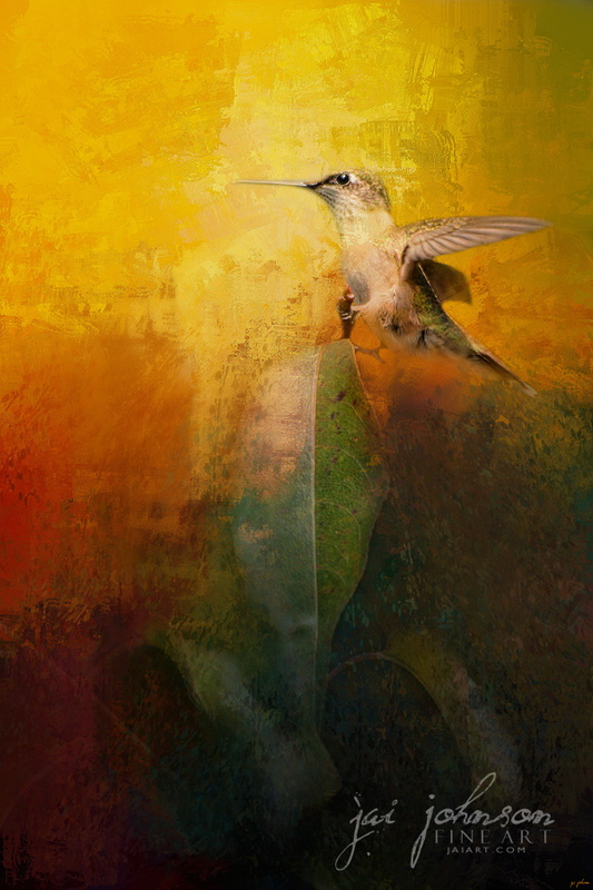 Sunlit Landing - Hummingbird Art