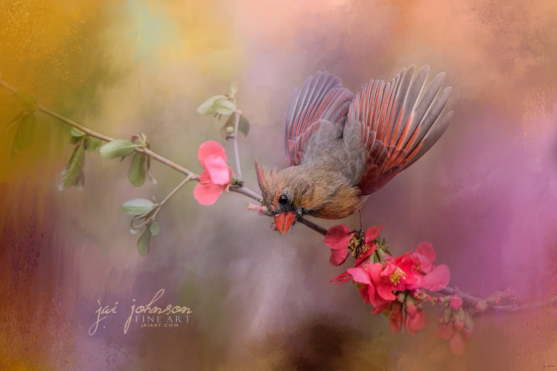 Spring Cardinal 2 Bird Art