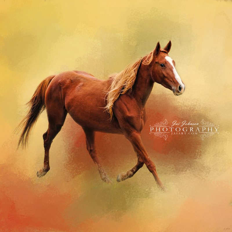 A Dash of Chestnut Mare - Horse Art