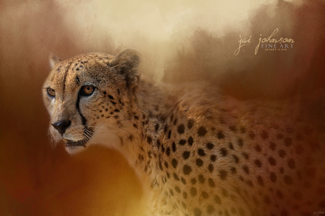 One With The Sun Cheetah Art